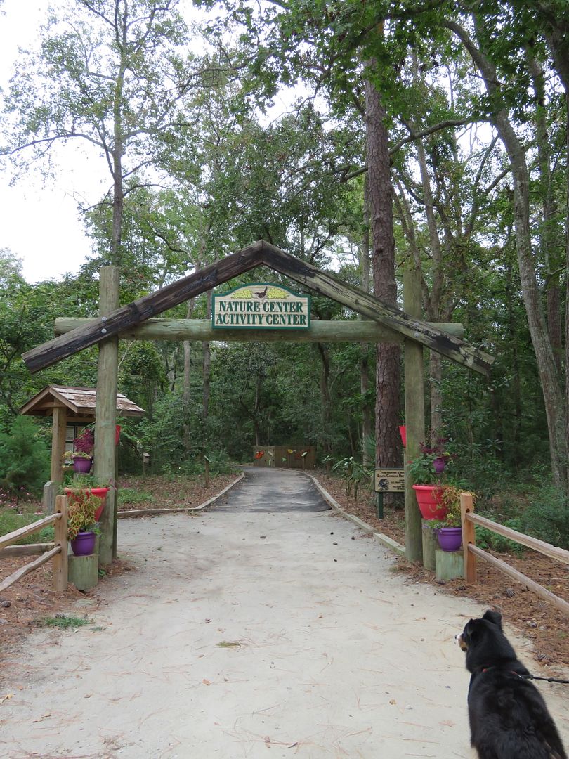 Winds of Destiny RVLife Hiking at Myrtle Beach State Park, 9/25/2017
